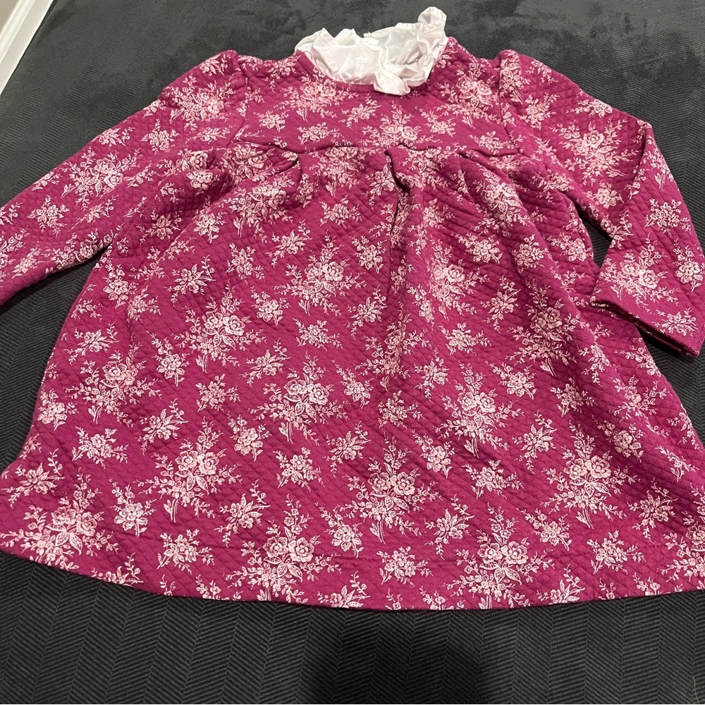 Janie and Jack Berry Floral Long-Sleeve Dress with Ruffled Collar